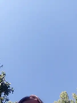 evil kitty online show from July 31, 6:02 am