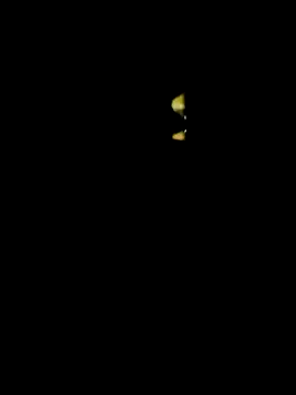 Snapshot of lambakooli chatting on June 13, 7:56 pm lambakooli online show from June 13, 7:56 pm