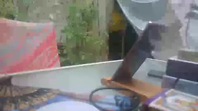 mad2moi online show from July 15, 2:22 pm