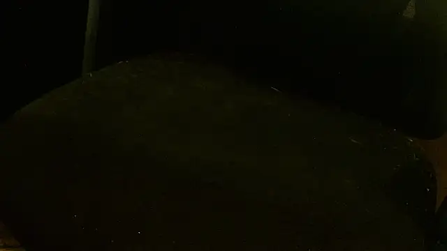 MagicCockMan online show from June 20, 3:20 am