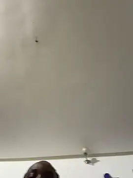myhoneymolly online show from July 29, 2:43 am