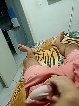 novimzinho online show from August 3, 9:29 pm