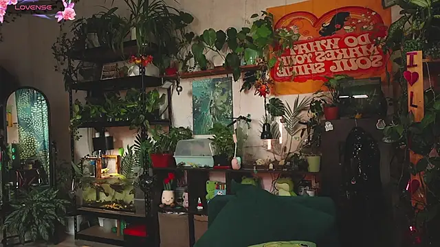 Dead Butterfly online show from October 28, 10:41 am