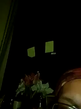 Snapshot of Meth_Hoe chatting on February 1, 7:07 am Meth Hoe online show from February 1, 7:07 am