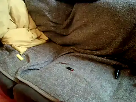 Snapshot of Truganini1 chatting on December 22, 8:27 am Truganini1 online show from December 22, 8:27 am