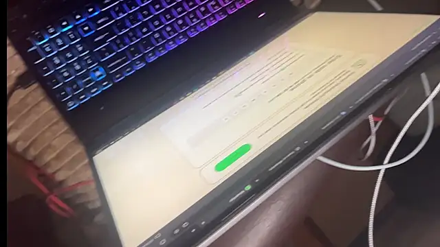 Snapshot of diablocuple chatting on November 15, 1:03 am diablocuple online show from November 15, 1:03 am