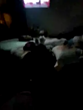 juliopantoja online show from February 15, 5:04 am