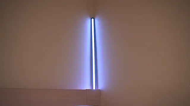 Liuba Fox online show from February 23, 7:33 pm