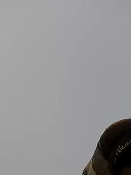 Snapshot of ThethunderPo chatting on December 27, 1:43 am ThethunderPo online show from December 27, 1:43 am