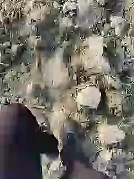 Snapshot of ThethunderPo chatting on January 19, 2:36 am ThethunderPo online show from January 19, 2:36 am