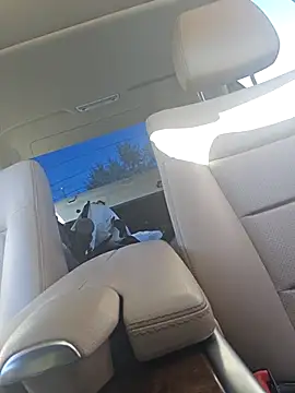 UncutHammer69 online show from September 28, 4:12 pm