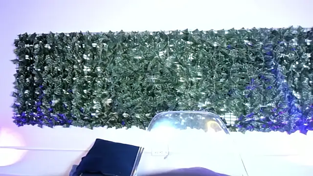 Snapshot of AbbyTaylorr chatting on March 2, 3:20 am AbbyTaylorr online show from March 2, 3:20 am