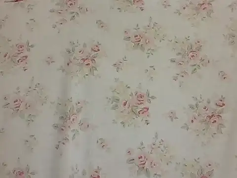 Snapshot of sarathchandru chatting on February 2, 11:03 pm sarathchandru online show from February 2, 11:03 pm