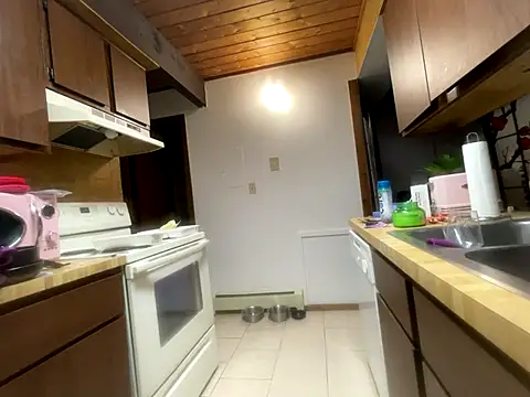 Snapshot of odbodu chatting on November 14, 6:06 pm odbodu online show from November 14, 6:06 pm