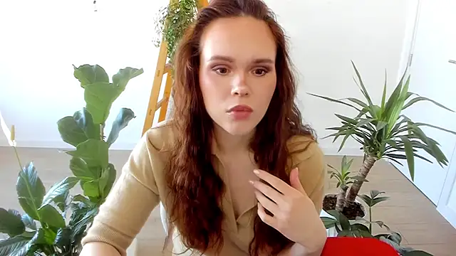 Pokemeboy online show from January 31, 10:20 am