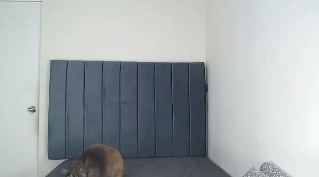 Snapshot of Chanelsexyy chatting on March 6, 11:53 pm Chanelsexyy online show from March 6, 11:53 pm