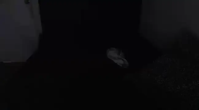 Snapshot of Chanelsexyy chatting on March 16, 8:43 pm Chanelsexyy online show from March 16, 8:43 pm