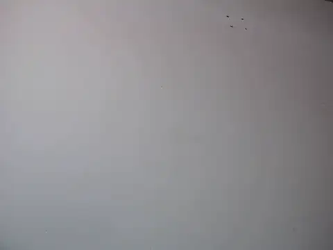 Snapshot of Mia_davis01 chatting on January 12, 8:14 pm Mia davis01 online show from January 12, 8:14 pm