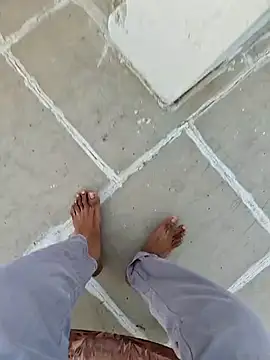 Big boss ind online show from February 24, 12:59 pm