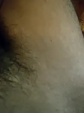 Snapshot of Samsharma1170 chatting on January 31, 3:55 pm Samsharma1170 online show from January 31, 3:55 pm