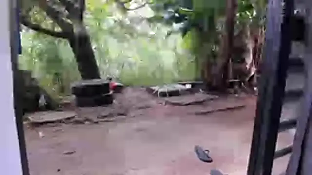 venusandzeusxh online show from December 16, 12:54 pm