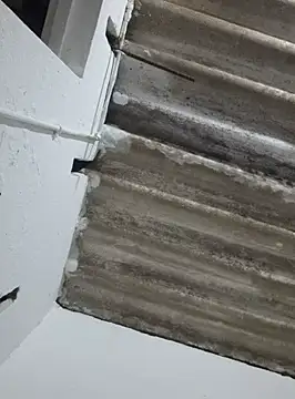 DAELAA online show from February 18, 1:54 am