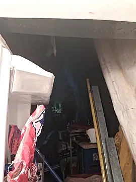 Toycockhot online show from December 2, 12:38 am