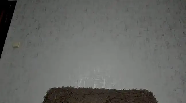 Snapshot of MissGulia chatting on February 10, 4:30 am MissGulia online show from February 10, 4:30 am