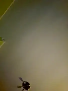 NiceHunter89 online show from January 12, 1:11 am