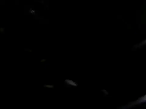 giga-bite online show from October 10, 3:44 pm