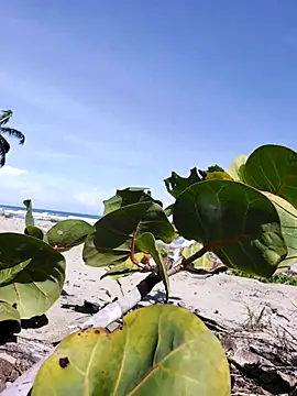 Luna-Natural online show from December 14, 4:23 pm