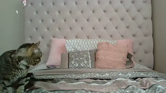 beautylovess online show from December 21, 2:35 pm