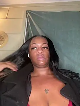 Snapshot of AlexaTheSlut chatting on December 25, 9:02 am AlexaTheSlut online show from December 25, 9:02 am