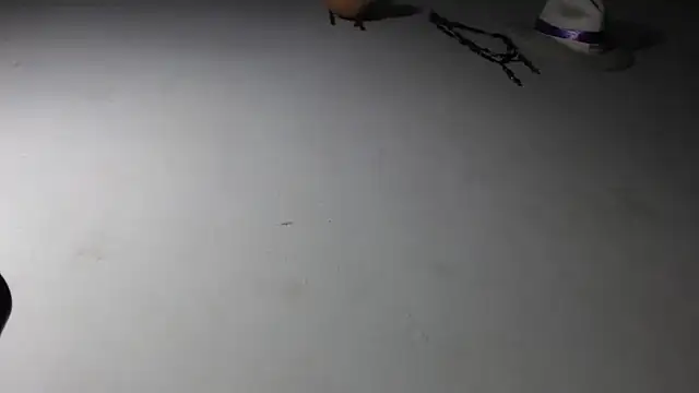 adrixxx38 online show from January 17, 11:19 pm