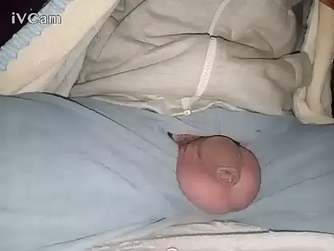 Snapshot of Bigdick666cm chatting on January 28, 3:04 am Bigdick666cm online show from January 28, 3:04 am