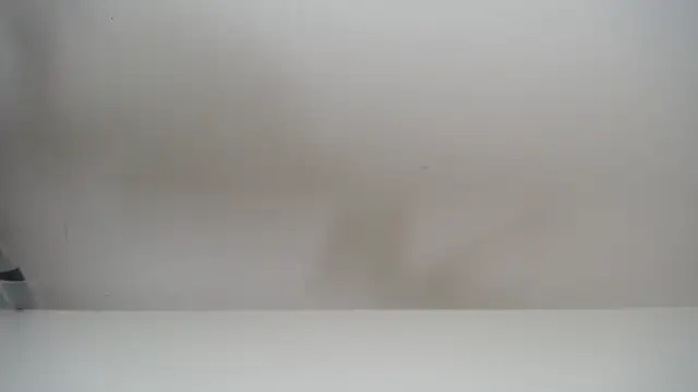 salomecastro  online show from November 19, 6:30 pm