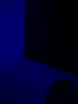 Snapshot of Pavelbure77 chatting on March 7, 11:57 pm Pavelbure77 online show from March 7, 11:57 pm