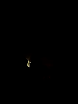 tropikboy online show from July 26, 12:41 am