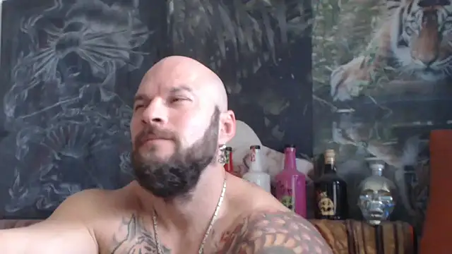 viking 30 online show from October 24, 6:54 am