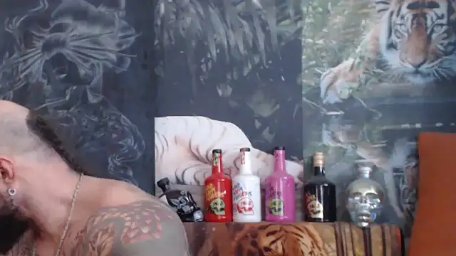 viking 30 online show from November 5, 8:03 am