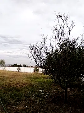 Snapshot of Chacal_Armyy chatting on March 9, 11:20 pm Chacal Armyy online show from March 9, 11:20 pm