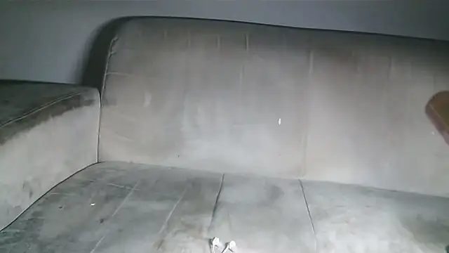 Snapshot of CORONALD chatting on November 4, 5:45 pm CORONALD online show from November 4, 5:45 pm