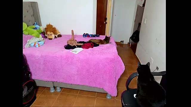 Snapshot of emily_honter chatting on December 14, 8:46 pm emily honter online show from December 14, 8:46 pm