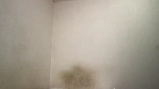 Snapshot of Magicwordsforme chatting on March 15, 12:25 am Magicwordsforme online show from March 15, 12:25 am