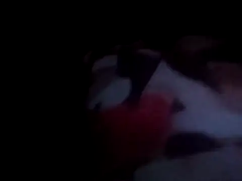 PrinceNoAlbert online show from December 15, 1:02 am