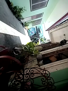 TropicalFlower online show from October 16, 1:06 am