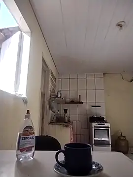 Snapshot of catdool chatting on November 21, 10:58 am catdool online show from November 21, 10:58 am