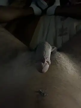 Snapshot of mamoubz chatting on November 3, 11:04 pm mamoubz online show from November 3, 11:04 pm