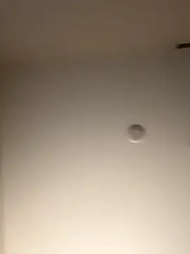 DancingLemonade online show from November 16, 11:49 am