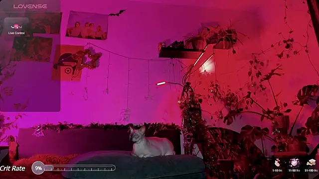 Snapshot of olivecum chatting on January 20, 4:01 pm olivecum online show from January 20, 4:01 pm